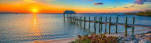 banner-stuart-florida